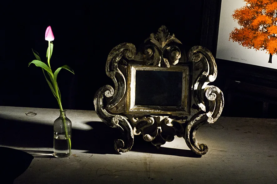 damato foto 6