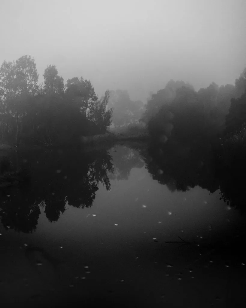 Dandenong-Creek-for-sale-copy-1