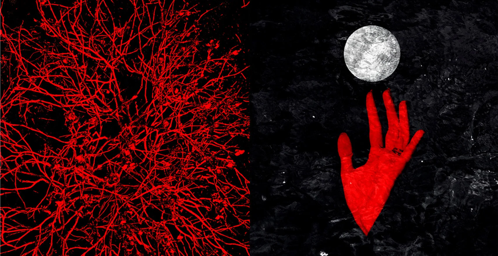 Decoding our rationalism liberates the truths of our spirituality. The deeper we go into the profundity of the darkness, the more light we can see. This means that there is beauty in the bright moments and also in the darker ones. In this way, we fight against our past and purge our inner demons.